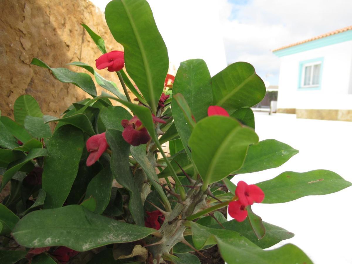 Nautico Boutique Apartments, By Comfortable Luxury - Adults Only Corralejo Exteriér fotografie