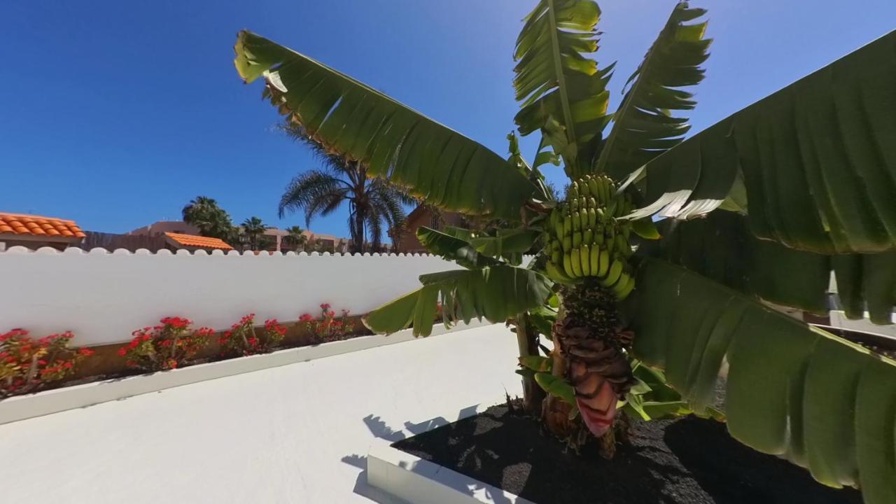 Nautico Boutique Apartments, By Comfortable Luxury - Adults Only Corralejo Exteriér fotografie